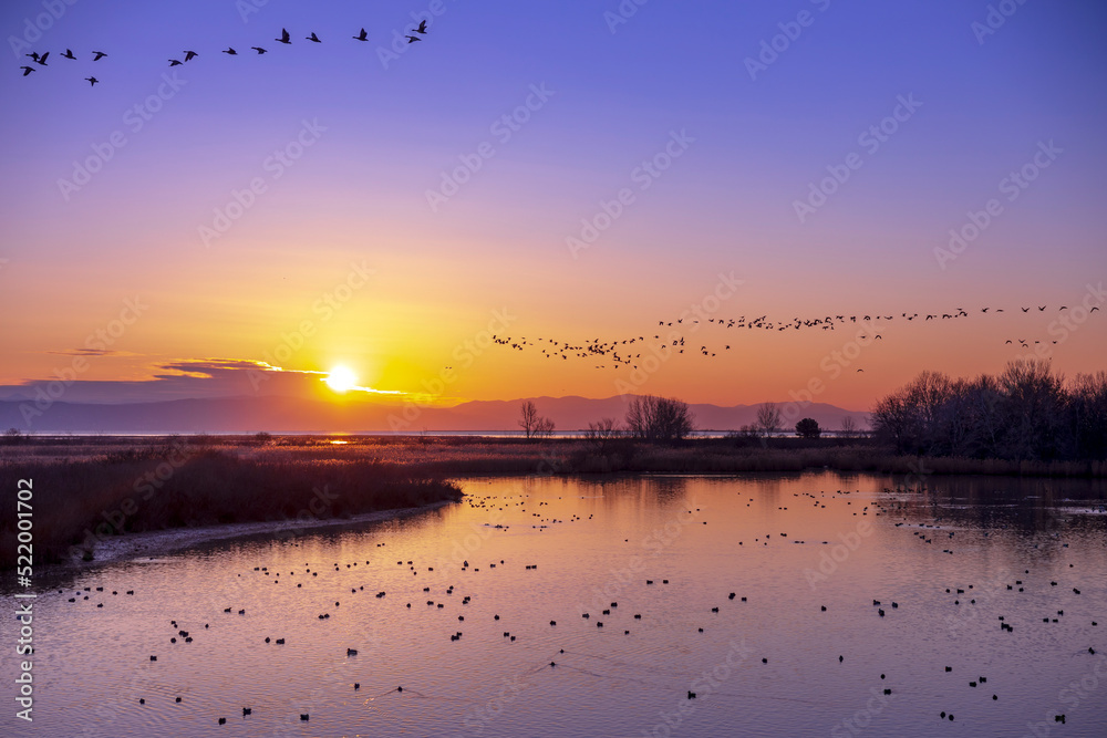 Colorurful Morning Wildlife Sunrise on Delat of River Soca - Isonzo in Italy