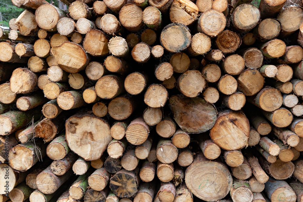 Fototapeta premium Stacked wood close-up texture. Firewood storage background. Stocks of wooden logs. Wood for a fireplace.