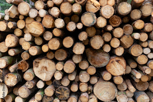 Stacked wood close-up texture. Firewood storage background. Stocks of wooden logs. Wood for a fireplace.