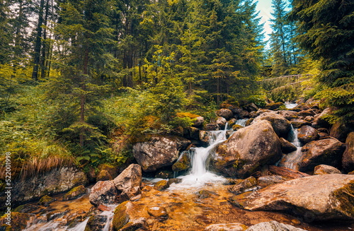 Beautiful close up ecology nature landscape with mountain creek. Abstract long exposure forest stream with pine trees and green foliage background. Autumn tiny waterfall rocks, amazing sunny nature