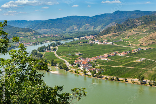 Photography Vineyards by the Danube river in Wachau valley. Lower Austria.