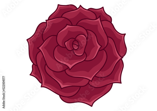 Red rose in vector isolated on white