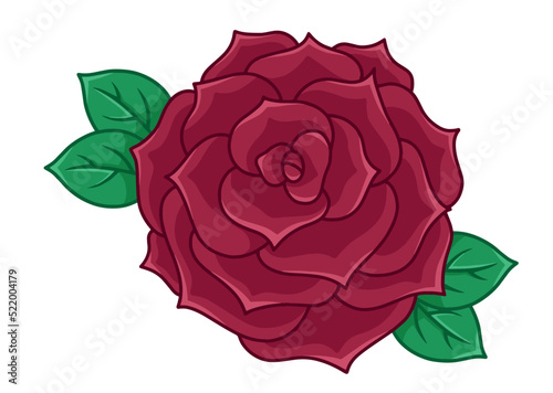 Red rose in vector isolated on white
