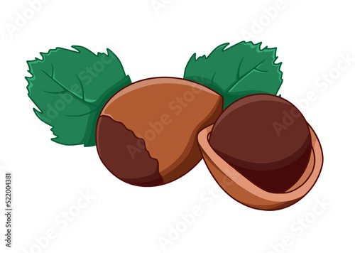 Hazelnuts in vector isolated on white