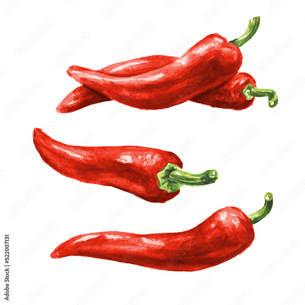 Red hot chili pepper set. Hand drawn watercolor illustration, isolated