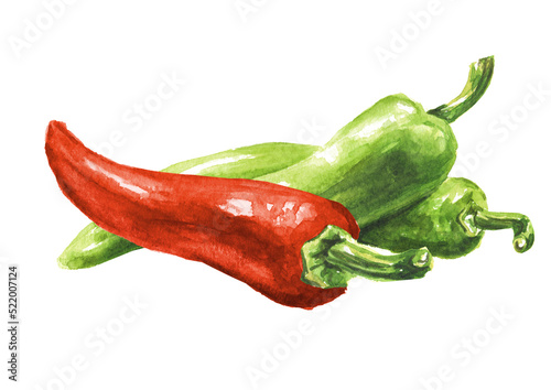 Red and green hot chili pepper. Hand drawn watercolor illustration, isolated on white background