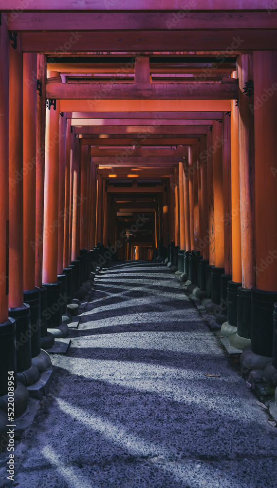 Fototapeta premium OLYMPUS DIGITAL CAMERA