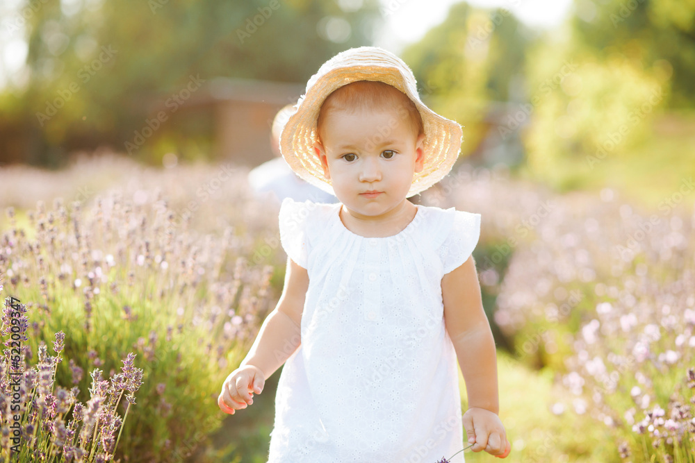 Sweet little girl in a straw hat walking through a lavender field Sweet little girl in a straw hat walking through a lavender field