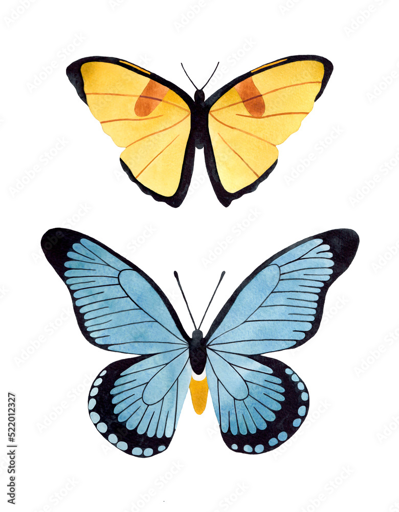 Watercolor blue and yellow butterflies set. Butterfly top view illustration. Isolated on white background. Watercolor blue and yellow butterflies set. Butterfly top view illustration. Isolated on white background.