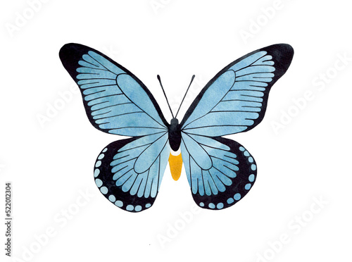 Watercolor Blue Butterfly top view illustration. Isolated on white background. Watercolour insect.
