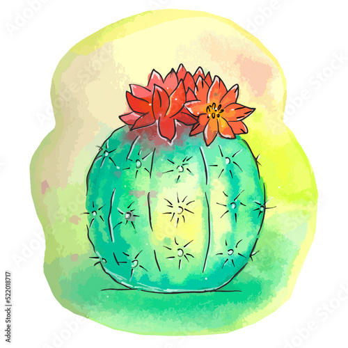 Watercolor cactus image, houseplant illustration, sharp needles on body, desert fauna, hand drawn print with black outline