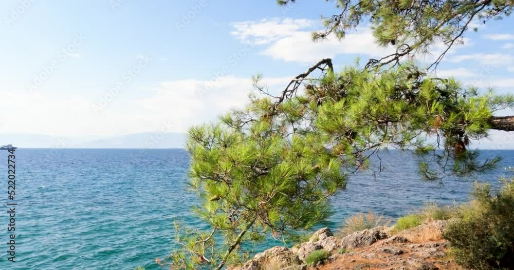 Panoramic view of summer natural beauty, beautiful and clean Aegean sea. Pine trees. Turquoise color of sea. Perfect for relaxing on summer holidays. Travel holiday concept.
