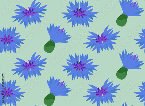 Seamless pattern with cornflower buds. Texture with wildflowers in cartoon style.