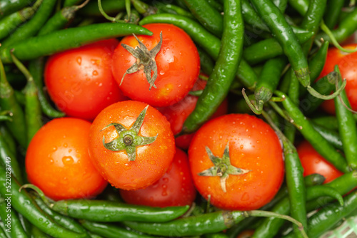 Close-Up of of Indian Organic fresh tomato (Solanum lycopersicum ) and green chili ( Capsicum annuum )