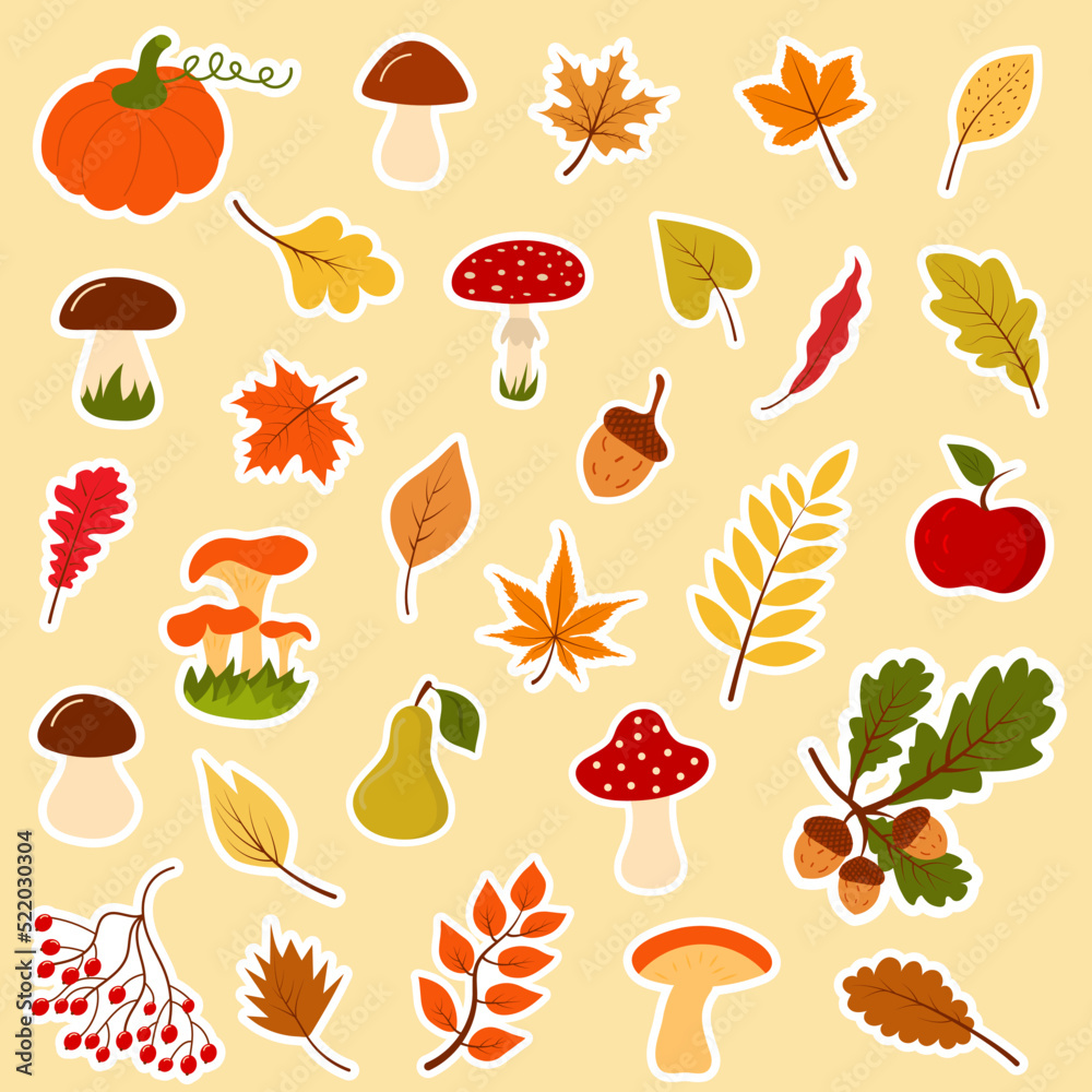Big autumn forest set of stickers. Collection of fallen leaves, mushrooms, acorns, berries, twigs, fruit and vegetables. Big autumn forest set of stickers. Collection of fallen leaves, mushrooms, acorns, berries, twigs, fruit and vegetables.