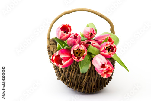 red tulips in a basket