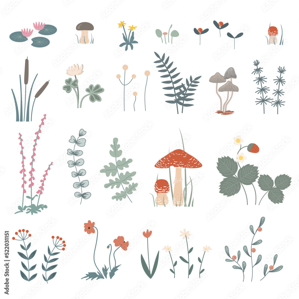 Forest herbs and flowers, floral elements set. Vector doodle hand drawn plants and mushrooms isolated design elements Forest herbs and flowers, floral elements set. Vector doodle hand drawn plants and mushrooms isolated design elements