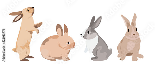 Vector collection with rabbit. Symbol of 2023. New year.