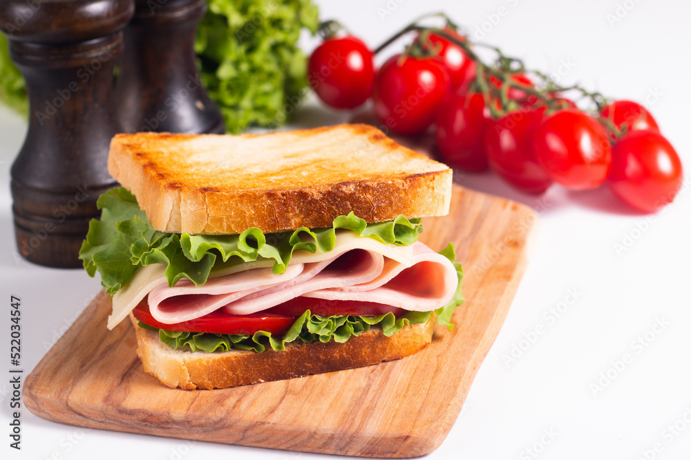 Close-up photo of an American club sandwich. Fast food concept. Close-up photo of an American club sandwich. Fast food concept.