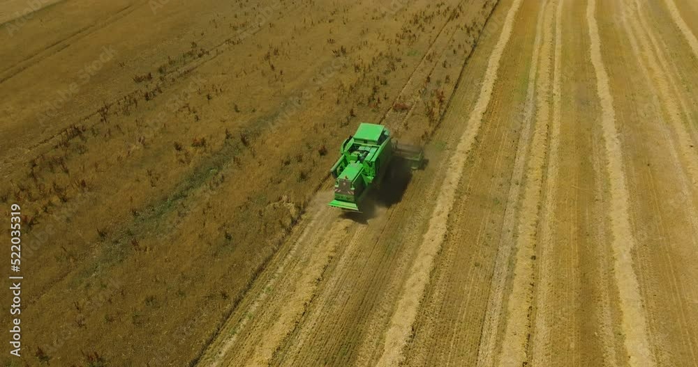 Field with wheat ears at sunset, food crisis and world hunger concept, growing wheat sprouts, harvest problem. Modern harvester in a field Field with wheat ears at sunset, food crisis and world hunger concept, growing wheat sprouts, harvest problem. Modern harvester in a field