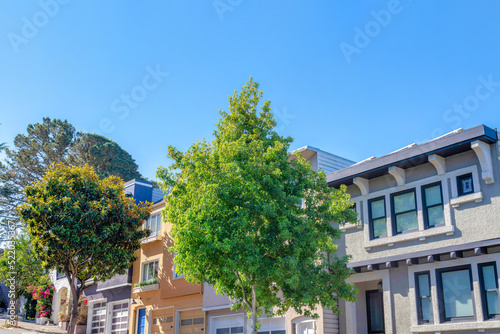 Trees at the front of sloped neighborhood in San Francisco, California