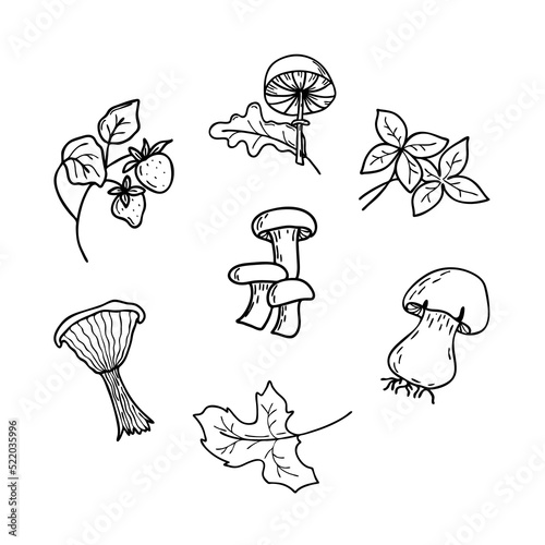 Vector lineart mushroom. Mushroom icon. Simple clipart.