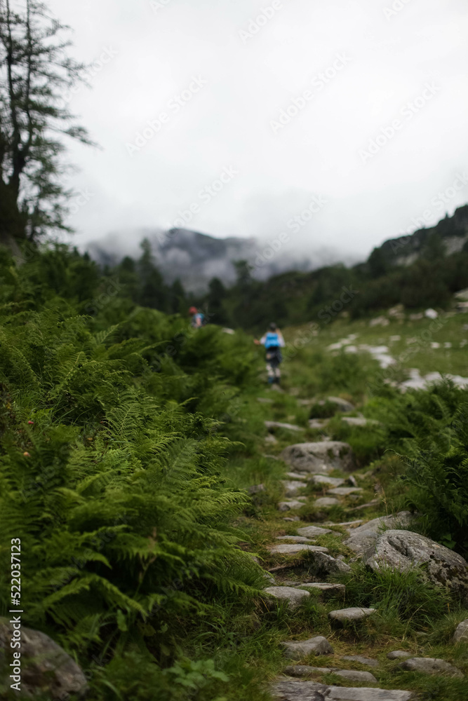 hiking in the mountains hiking in the mountains