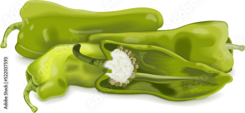 Whole and half of Cubanelle pepper. Capsicum annuum cubanelle, cuban pepper, Italian Frying Pepper. Fresh organic and healthy vegetables. Vector illustration isolated on white background.