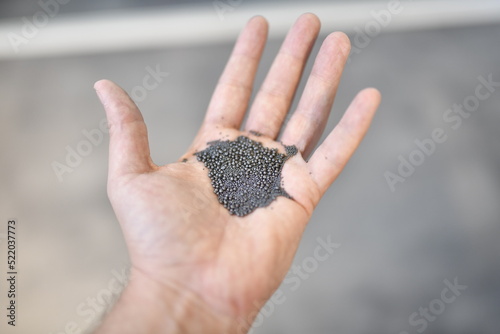 View of the circular steel grits in the palm for abrasive or sandblasting. Steel grits are produced by fracturing high carbon steel balls after heat treatment. Steel grits have high resistance. photo