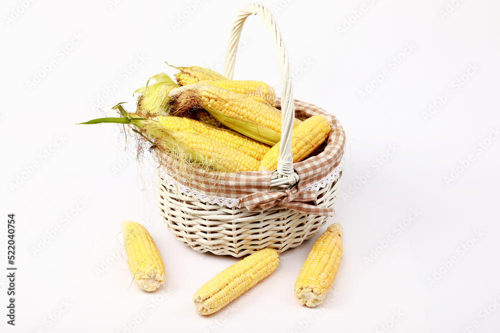 ears of corn in the studio