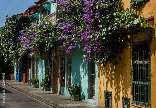 Enredaderas y frentes de las construcciones tradicionales en Cartagena, Colombia.