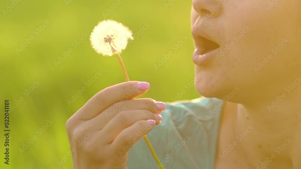 Beautiful girl blowing on a dandelion, fluff slowly flies through the air Beautiful girl blowing on a dandelion, fluff slowly flies through the air