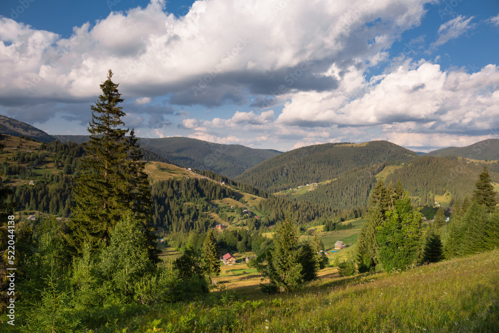 Polonina (pasture) in  Carpathian Mountains, Ukraine.