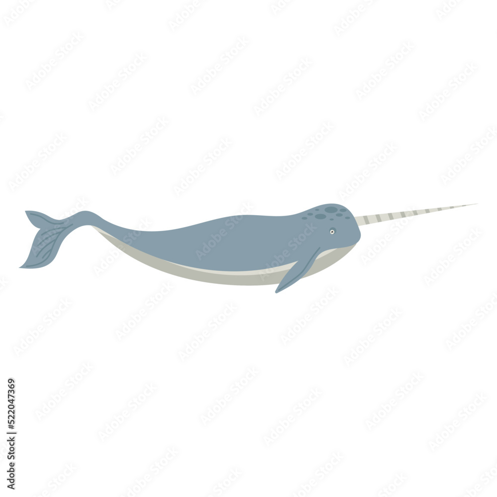 narwhal whale animal narwhal whale animal