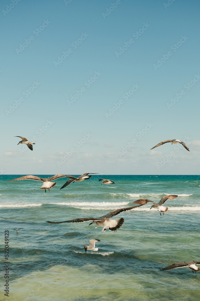 A vertical photo of the seaside and seagulls flying around.