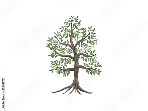 tree and roots vector hand drawing