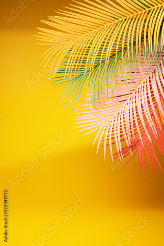 Palm leaf on a yellow background. - Summer concept..