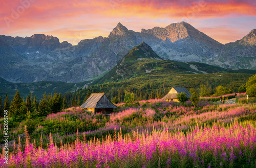 Beautiful summer sunrise in the mountains - Hala Gasienicowa in Poland - Tatras