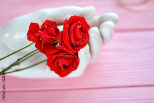 Close up white manneqin hand with rose flowers. Pink wood background.