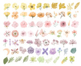 Tender Wil Flowers Handdrawn illustration Big Collection