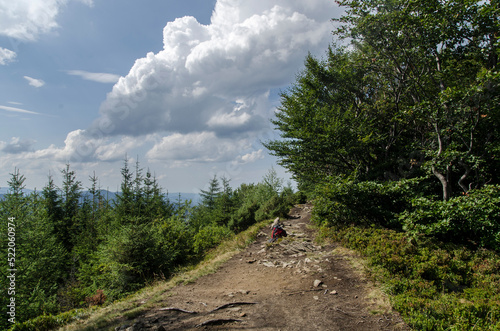 Fototapeta Naklejka Na Ścianę i Meble -  Bieszczady panorama 