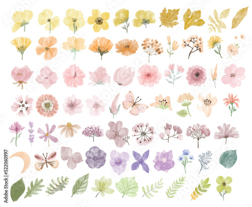 Tender Wil Flowers Handdrawn illustration Big Collection