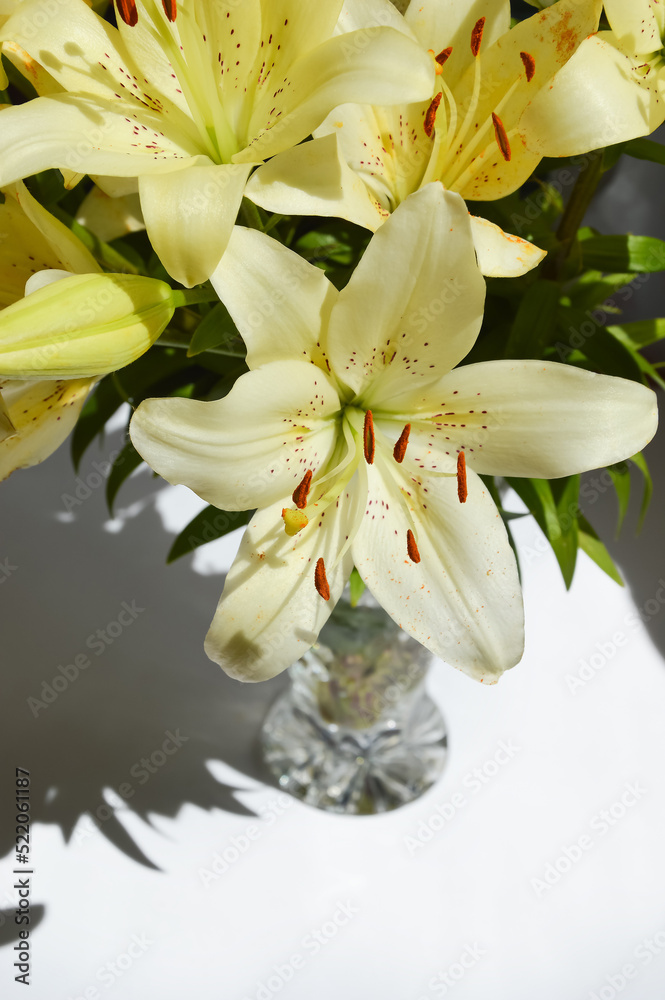 Fototapeta premium a bouquet of flowers. beautiful lilies. background for decoration for holidays, birthday, women's day, mother's day, Easter, valentine's day.