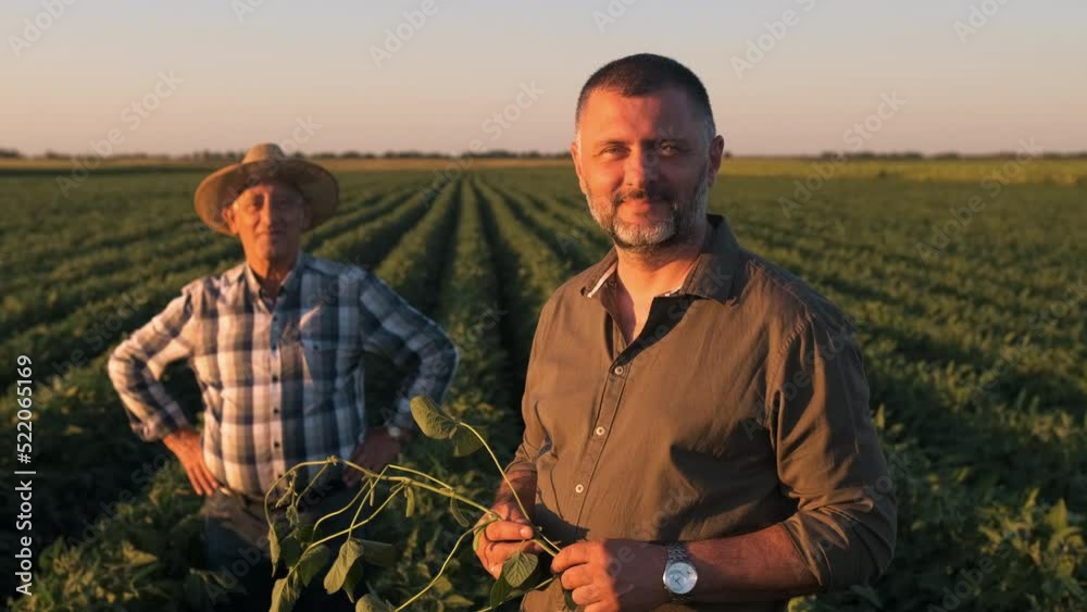 Portrait of two farmers in a field examining soy crop.