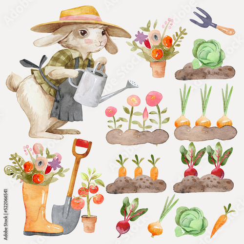 Watercolor collection of garden tools, tools, accessories, plants, and vegetables. Cute Rabbit gardener in a hat. Gardening, growing plants. Design elements in a cartoon style. photo