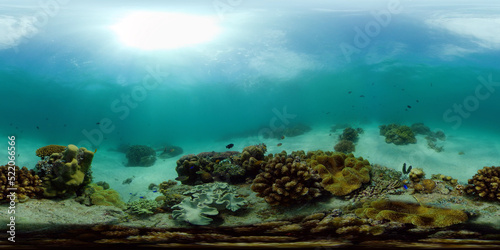 Fototapeta Naklejka Na Ścianę i Meble -  Tropical coral reef and fishes underwater. Hard and soft corals. Philippines. Virtual Reality 360.