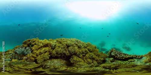 Coral reef and tropical fishes. The underwater world of the Philippines. Underwater colorful tropical coral reef seascape. 360 panorama VR