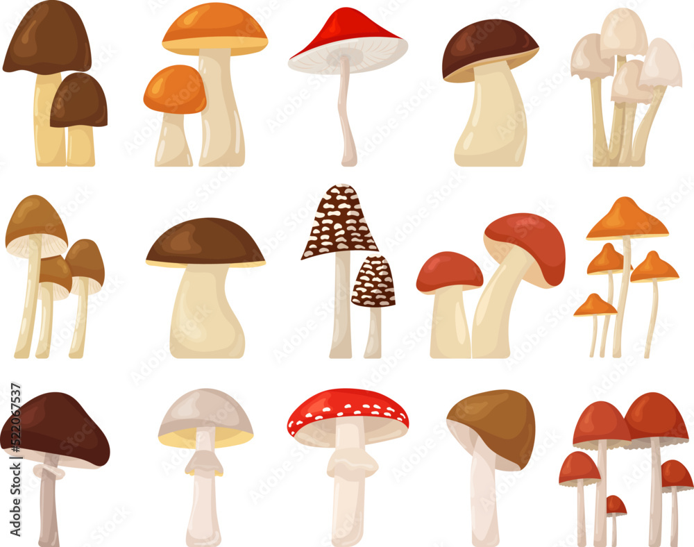 mushroom collection set in flat style, isolated, vector mushroom collection set in flat style, isolated, vector
