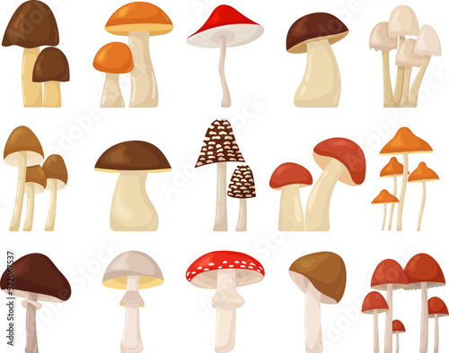 mushroom collection set in flat style, isolated, vector