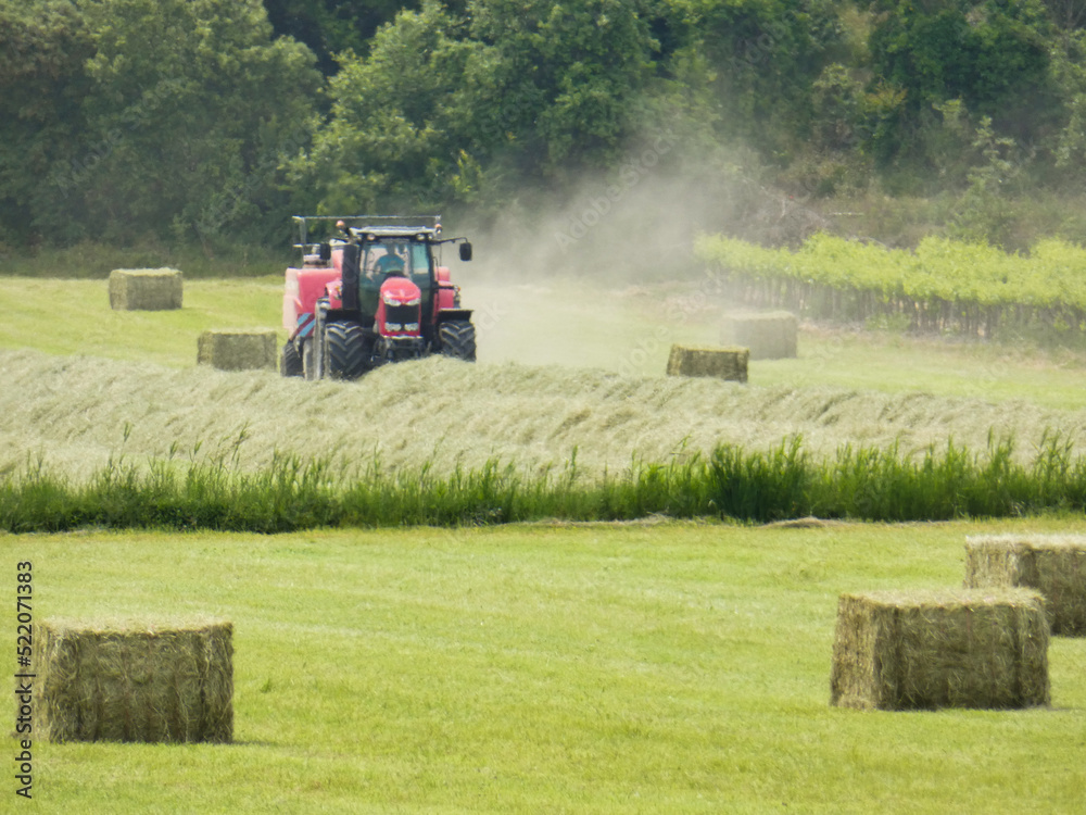 Tractor picking up freshly cut herbaceous plants to make hay bales in a meadow in the Alpilles in Provence in France Tractor picking up freshly cut herbaceous plants to make hay bales in a meadow in the Alpilles in Provence in France